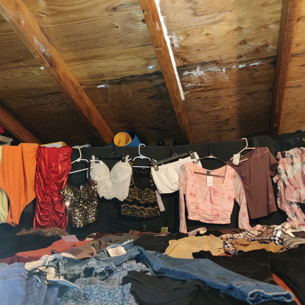 Trendy Women's Apparel Collection - Vibrant Mix